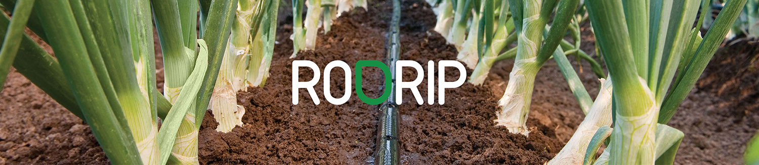 Ro-Drip Tape per irrigazione a goccia