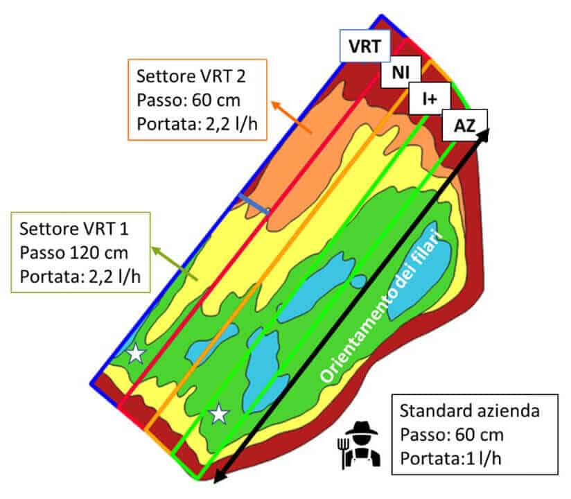 POSITIONING OF THE 4 THESES IN THE VINEYARD AND CHARACTERISTICS OF THE IRRIGATION SYSTEM
