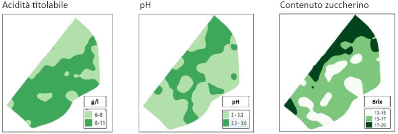 DISTRIBUTION OF SOME QUALITY MUSTS PARAMETERS WITHIN THE VINEYARD