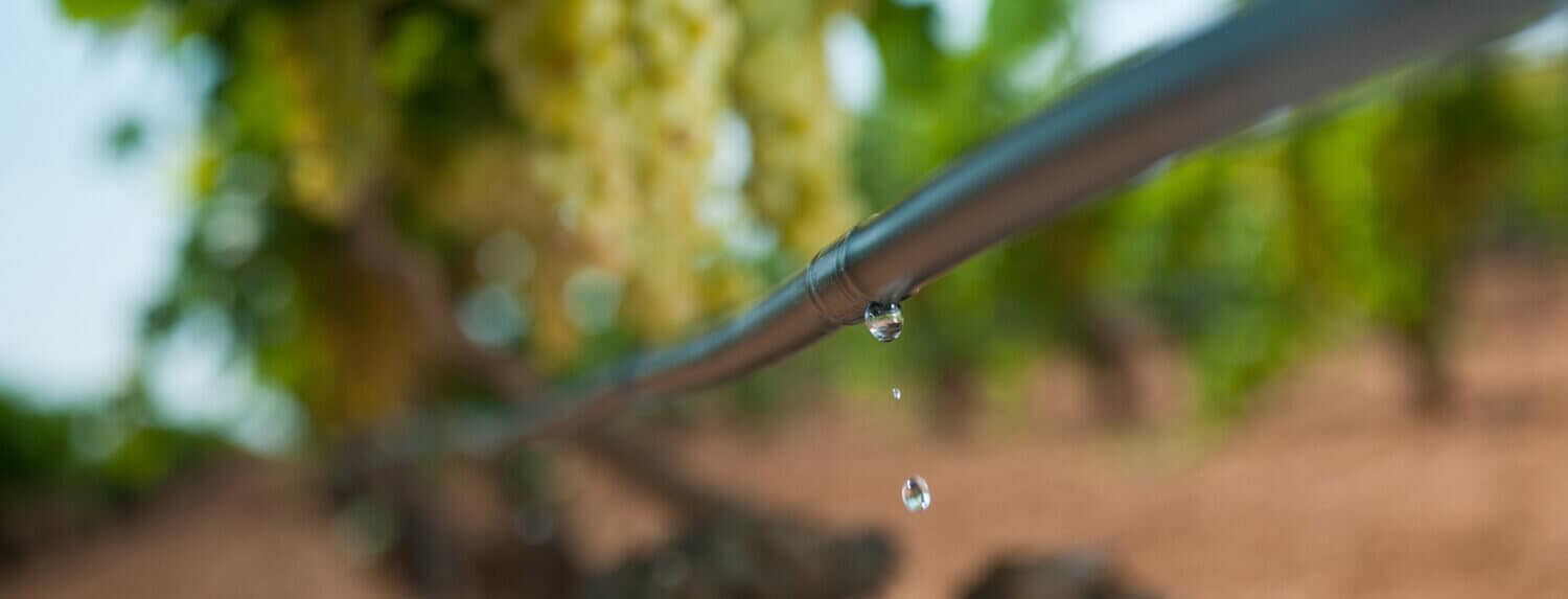 Modelli di irrigazione di precisione | garantendo una gestione ottimale dell’acqua