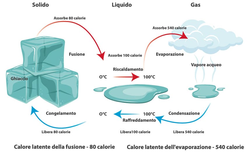 Il calore latente è il meccanismo di protezione che può salvare la tua coltura o il tuo vigneto dalla gelata