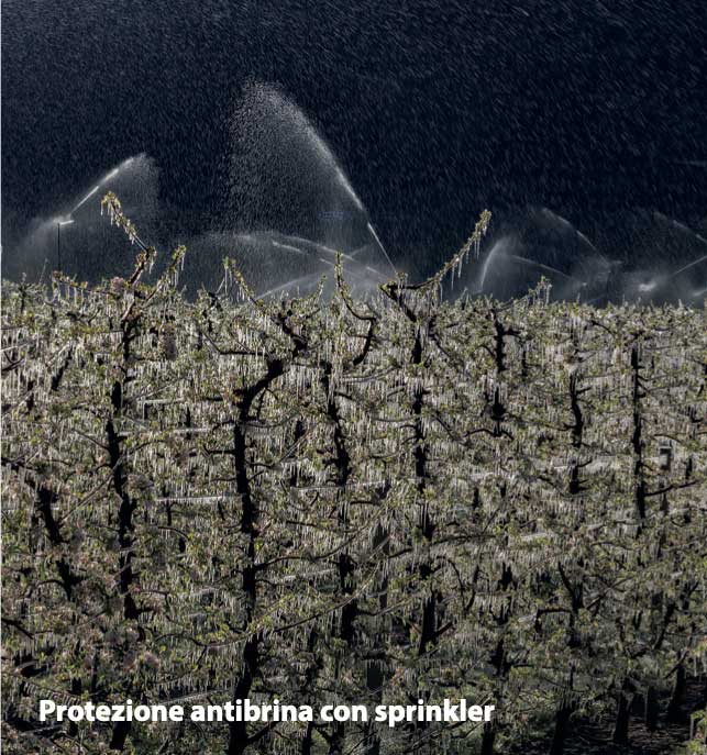 PROTEZIONE ANTIBRINA | per proteggere il tuo investimento