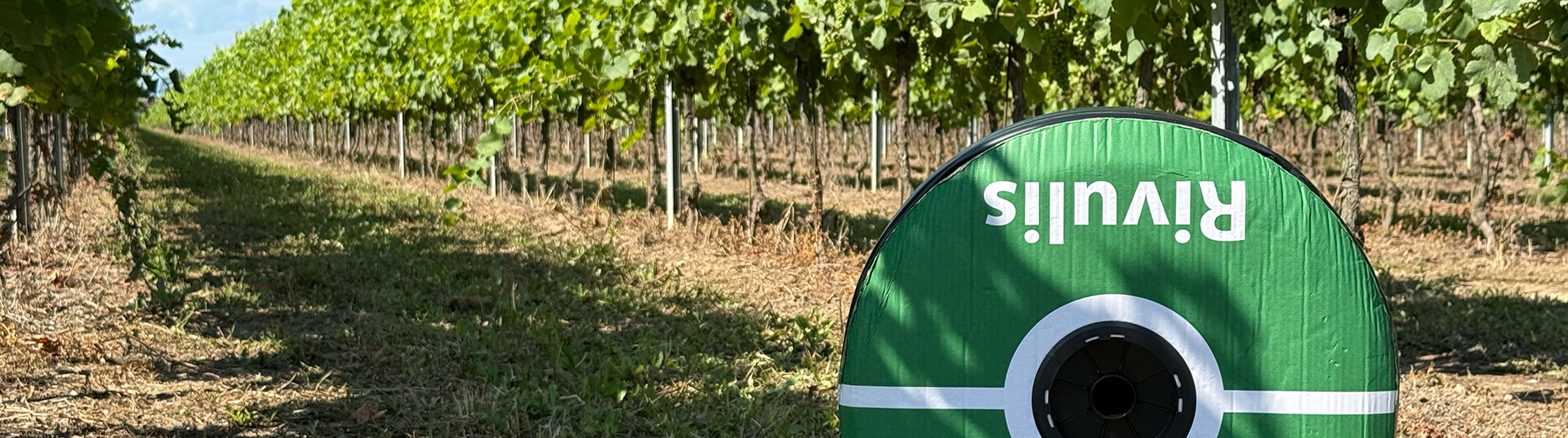 Irrigazione frammentata e difficile da gestire: come Rivulis ha risolto i problemi nei vigneti di Daniele Avoledo